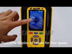 Ptm600 Industrial Multi Gas Detector Portable For Diesel Engines